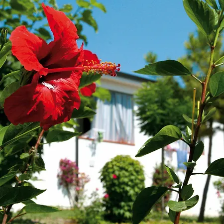 Villaggio Santa Maria 3*