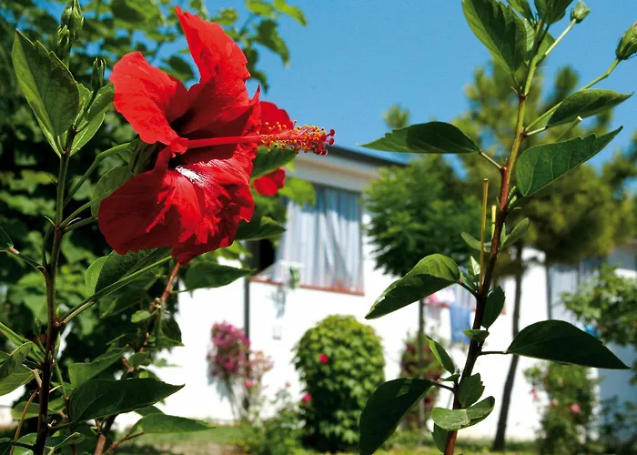 Villaggio Santa Maria 3*