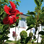 Villaggio Santa Maria 3* Capo Vaticano