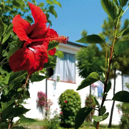 Villaggio Santa Maria 3* Capo Vaticano