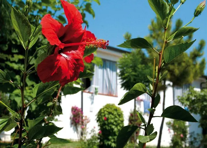 Villaggio Santa Maria 3* Capo Vaticano